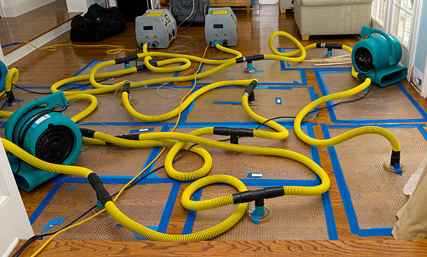 Professional Sewage Cleanup technician working in Washington Court House, OH